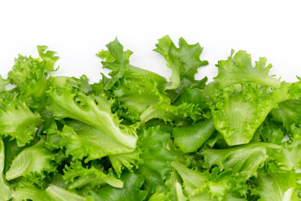 Cyclospora Outbreak Expands: How To Order Food Safely In NYC